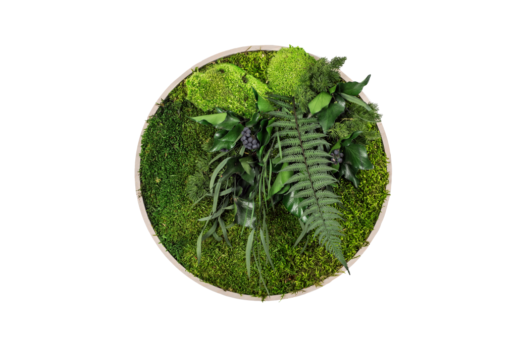 GREENIN leafy | priem. 40 cm